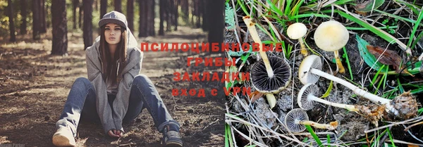 каннабис Горно-Алтайск