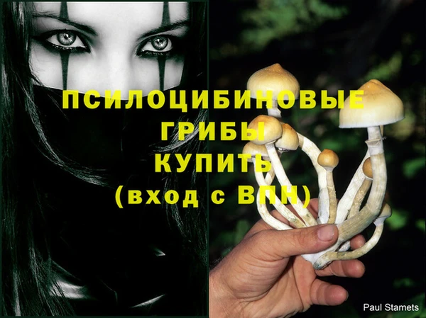 каннабис Горно-Алтайск