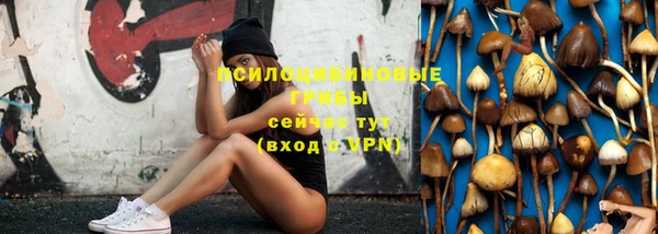 скорость Горнозаводск
