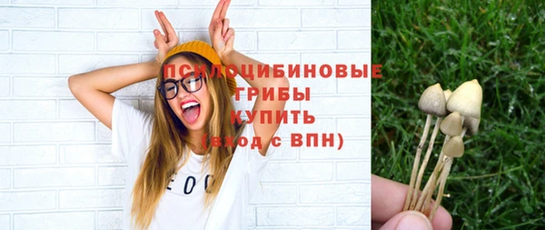 скорость Горнозаводск