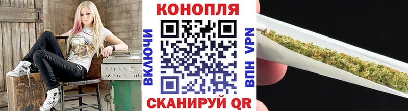 Каннабис план  Пятигорск 